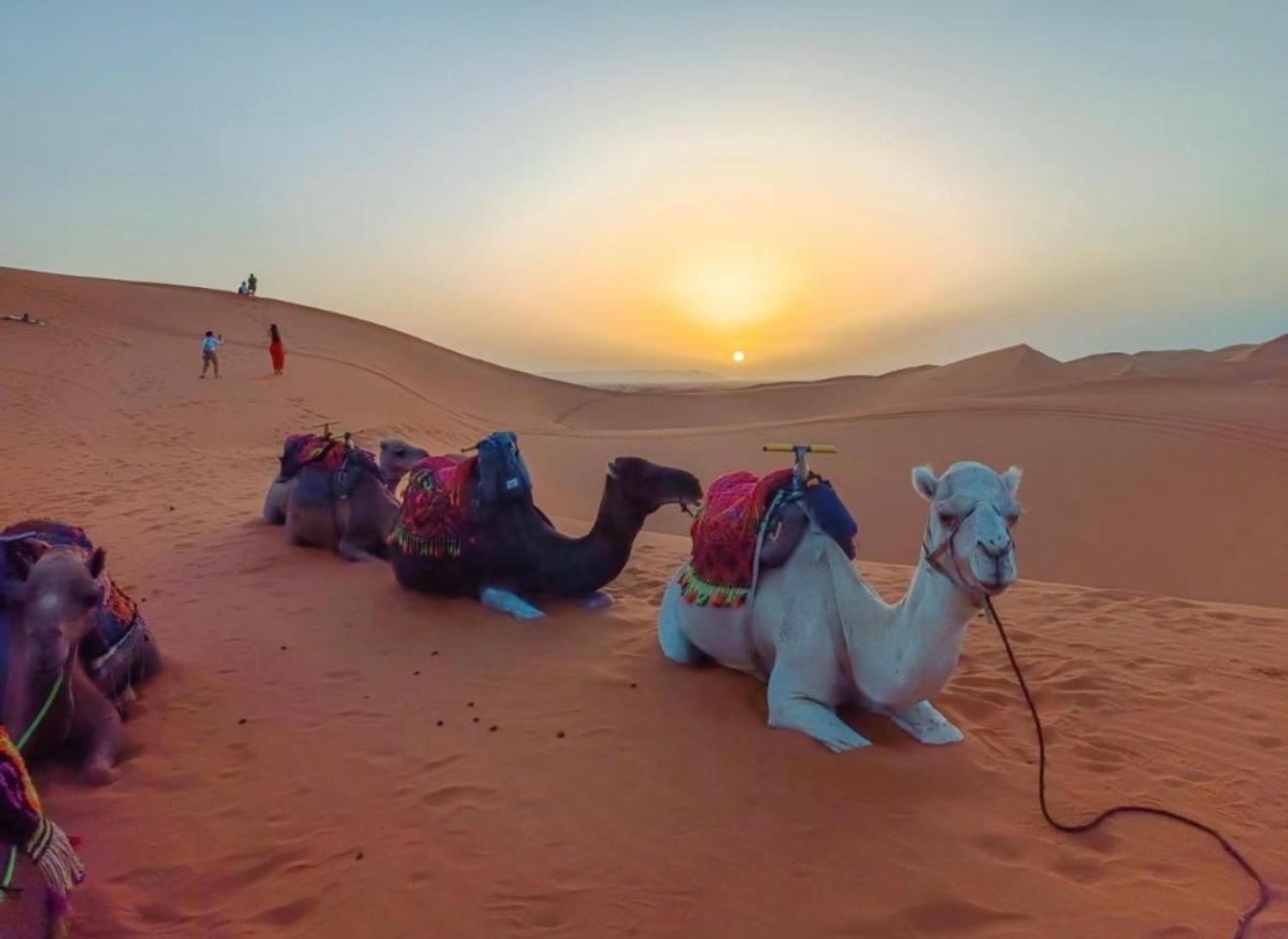 Merzouga Lovely Luxury Camp Εξωτερικό φωτογραφία